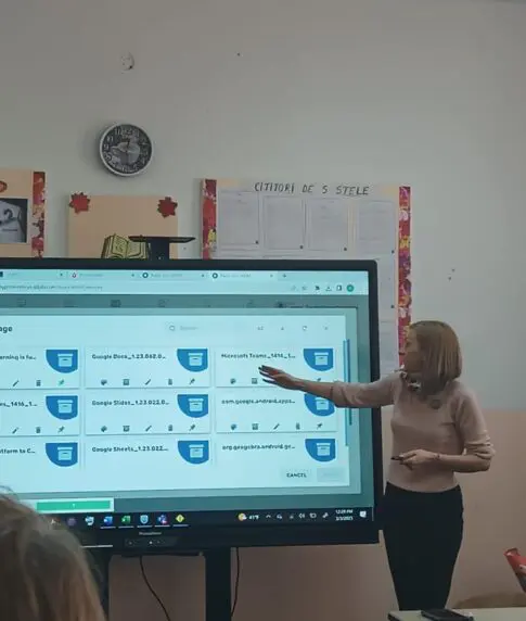 Proiect Școala Gimnazială Rădești